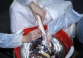 At an indoor fishery: female workers hands extracting sturgeon caviar from adult fish with extractors