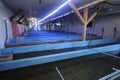 Indoor fishery: production hall with temperature control system and tanks with sturgeon fingerlings inside Royalty Free Stock Photo