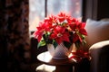 Indoor flower Christmas Star, Poinsettia in a pot in the interior decor of the house Royalty Free Stock Photo