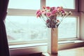 Indoor flower on the windowsill. white vase, pot. curtains, tulle