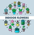 Indoor flowers and house plants in flowerpots vector poster for home gardening