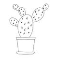 Indoor flowers in a pot in the style of Doodle.Contour hand drawing.Black and white image.Coloring.Vector illustration Royalty Free Stock Photo