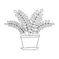 Indoor flowers in a pot in the style of Doodle.Contour hand drawing.Black and white image.Coloring.Vector illustration Royalty Free Stock Photo