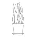 Indoor flowers in a pot in the style of Doodle.Contour hand drawing.Black and white image.Coloring.Vector illustration Royalty Free Stock Photo