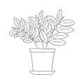 Indoor flowers in a pot in the style of Doodle.Contour hand drawing.Black and white image.Coloring.Vector illustration Royalty Free Stock Photo