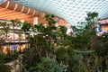 The indoor garden. Hamad international airport. Doha. Qatar Royalty Free Stock Photo