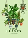 Indoor Garden House Plant Collection