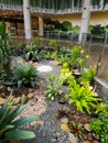 indoor garden at mall jakarta indonesia