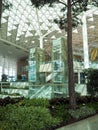 Indoor garden in the terminal 2 of Incheon International Airport