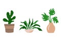 Indoor garden plants in pots and fresh flowers in vases. Set for greenhouse design. Vector illustration