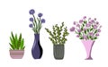 Indoor garden plants in pots and fresh flowers in vases. Set for greenhouse design. Vector illustration