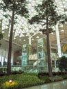 Indoor garden in terminal 2 of Incheon International airport