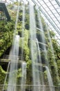 Indoor garden and waterfall Royalty Free Stock Photo