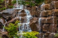 Waterfall with Japanese Maples Royalty Free Stock Photo