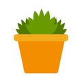 Indoor green flower in a ceramic pot vector flat isolated