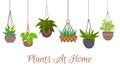 Indoor green plants in pots hanging on decorative macrame hangers vector set