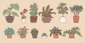 Indoor green plants. Vector set houseplant in flower pot outline doodle isolated illustration.