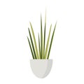 Indoor Houseplant Trifasciata In A Pot Flat Decorative Illustration