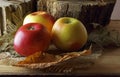 INDOOR IMAGE WITH THREE APPLES WITH DEAD LEAVES IN AUTUMN Royalty Free Stock Photo