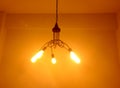 Indoor Lighting Orange light bulb