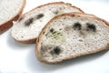 Sliced mouldy bread Royalty Free Stock Photo
