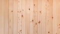indoor minimal oak wood panel showing beautiful wood grain. wood panel wall runs vertical pattern along. Royalty Free Stock Photo