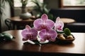 Indoor pink flower Orchid in a beautiful glass vase on a wooden table. Floral detail in interior design Royalty Free Stock Photo