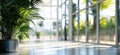 Indoor plant in bright modern space with large windows and natural light Royalty Free Stock Photo