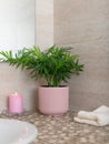 Indoor plant in a flower pot, a burning candle and a bath towel near the sink in the bathroom. Royalty Free Stock Photo