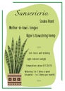 Indoor plant, potted plant. Care info card, banner. Sansevieria, snake plant.House plant care.