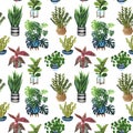 Indoor plant watercolor seamless pattern. Home plants, fig tree, ZZ Plant Zamioculcas, Snake Plant Sansevieria, Fiddle Leaf