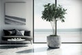 Indoor plant on white floor with empty concrete wall background, Lounge and coffee table near glass window in sea view living room Royalty Free Stock Photo