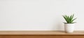 An indoor plant in a white pot resting on a wooden shelf against a clean white backdrop