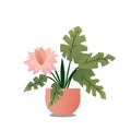 Indoor plants flat color illustration. Realistic houseplant in beige pot on metal stands. Exotic flowers with stems and leaves.