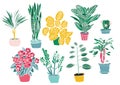 Indoor plants and flowers, hand drawing, set