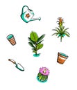 Indoor plants and garden tools