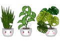 Indoor plants summer set isolated