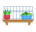 Indoor plants on shelf behind blue mesh grid. Potted green plant and flower in ceramic pot, house decoration vector