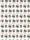 Indoor plants succulents. Potted greens and flower pots. Vector winter garden seamless pattern. Print for textiles, tee Royalty Free Stock Photo