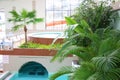 Indoor pools and jacuzzi with tropical vegetation Royalty Free Stock Photo