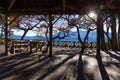 Indoor scene of nature at Zhushan mountain view of Alishan, Taiwan Royalty Free Stock Photo