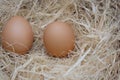 Two raw eggs on brown dried hay in a basket