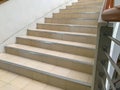 Indoor Stairs of a modern building