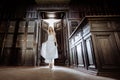 Indoor summer portrait of young pretty cute girl. Beautiful woman posing beside fairytale door inside wood cabinet, scars old cast