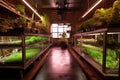 indoor urban farm with recycled water system and grow lights