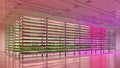 Indoor vertical farm. Hydroponic microgreens plant factory. Plants grow with led lights. Sustainable agriculture for future food. Royalty Free Stock Photo