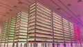 Indoor vertical farm. Hydroponic microgreens plant factory. Plants grow with led lights. Sustainable agriculture for future food.