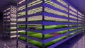 Indoor vertical farm. Hydroponic microgreens plant factory. Plants grow with led lights. Sustainable agriculture for future food.