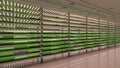 Indoor vertical farm. Hydroponic microgreens plant factory. Plants grow with led lights. Sustainable agriculture for future food. Royalty Free Stock Photo