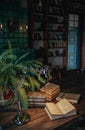 Indoor vintage composition of old shabby books, houseplant and desk lamp Royalty Free Stock Photo